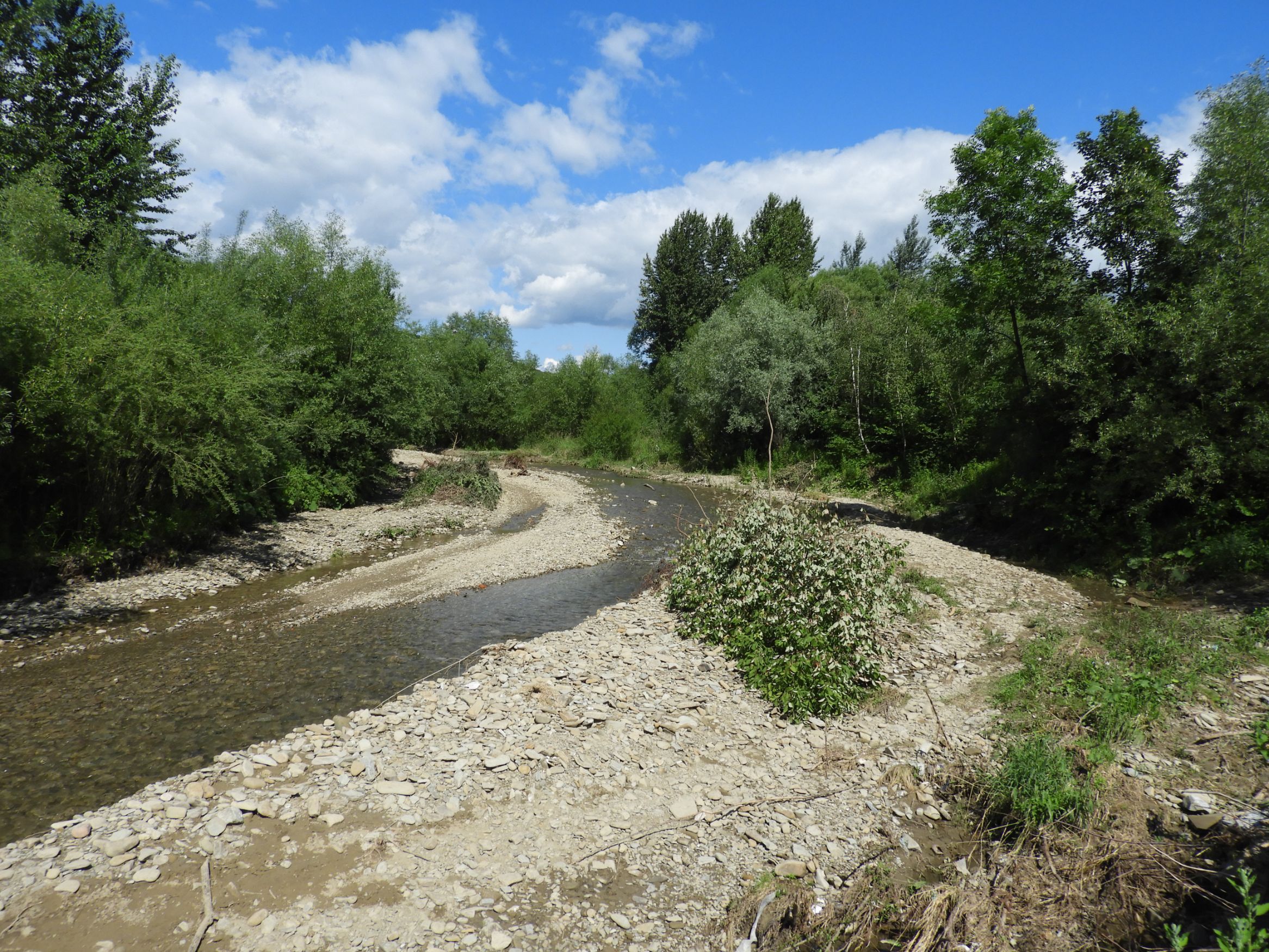 4.dzikie rajdy Offroad po korycie potoku Jastrzbik w m Olszana Gmina Podegrodzie1